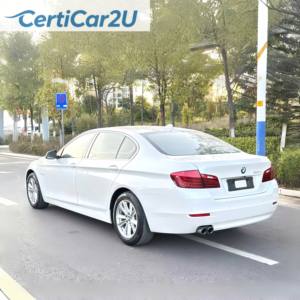 B-M-W 520Li Elegance 2014 2.0T Automatica, Berlina di Lusso Tedesca, Passo Lungo, Potenza Turbo, Comfort Premium, Guida a Sinistra, Interni in Pelle Scura, R17 - Product Image 1