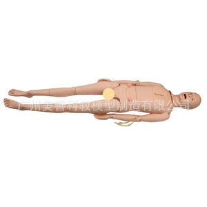 Maniquí de enfermería avanzado con funciones completas, maniquí de cateterización masculino y femenino con órganos internos, úlceras por presión, orales y - Product Image 1