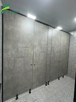 Porte de cabine de toilette moderne pour projets en gros, avec charnière en acier inoxydable 304, panneau stratifié de qualité solide, écologique, pour écoles et appartements