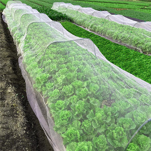 Meilleure vente : Moustiquaire d'extérieur 3x100m pour <span class=keywords><strong>jardin</strong></span> - Product Image 1