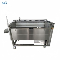 Automatische commerciële wortelgroente-rolwasser en aardappelschilmachine van roestvrij staal SUS304