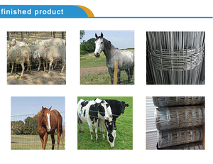 Volautomatische hoge kwaliteit grasland gaashekwerk machine vee hek machine uit HEBEI fabrikant - Product Image 6