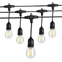 Guirlandes lumineuses décoratives pour les fêtes, étanches IP65, S14, bande lumineuse LED ambiante pour le camping et l'extérieur