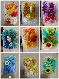 Boîte de <span class=keywords><strong>fleurs</strong></span> séchées <span class=keywords><strong>stabilisées</strong></span> pour l'art de la résine DIY, <span class=keywords><strong>fleurs</strong></span> séchées mélangées multicolores, en vrac, naturelles, kits de matériaux - Product Image 5