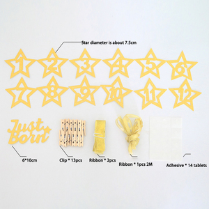 Striscione Cornice Portafoto 12 Mesi, Decorazioni <span class=keywords><strong>Primo</strong></span> <span class=keywords><strong>Compleanno</strong></span> Bambini, Forniture per Feste 1° Anno Neonato/a - Product Image 5