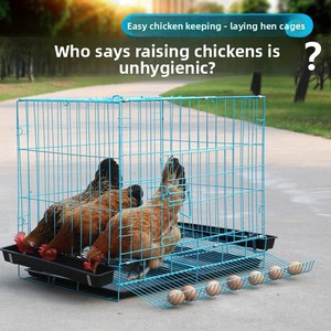 Gabbia <span class=keywords><strong>per</strong></span> Polli di Piccole Dimensioni <span class=keywords><strong>per</strong></span> Uso Domestico e Pollaio <span class=keywords><strong>per</strong></span> Allevamento <span class=keywords><strong>Quaglie</strong></span> con Sistema Automatico di Rotazione e Piegatura delle Uova - Product Image 4