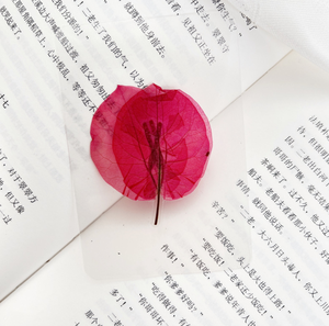 Marcapáginas de flores secas selladas de plástico, marcador de espécimen botánico, hoja plástica <span class=keywords><strong>Real</strong></span>, marcador de libros plastificado, palo de disparo - Product Image 4