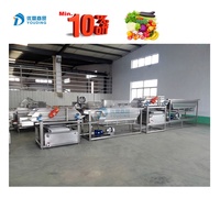 Complete Rozijnenverwerkingsfabriek Druivenwas Dehydratatiemachine Rozijnen Wasdroogmachine