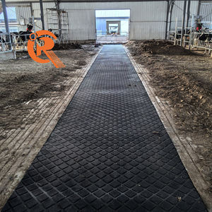 Tappetini in <span class=keywords><strong>Gomma</strong></span> per Stalle Agricole per Mucche/Pavimentazione in <span class=keywords><strong>Gomma</strong></span> per Sale <span class=keywords><strong>di</strong></span> Mungitura e Corridoi per Mucche - Product Image 1