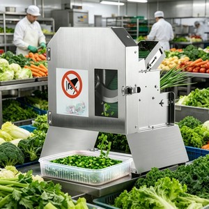 Coupe-légumes multifonctionnel de haute qualité, hachoir et trancheuse combinés pour la préparation des aliments en restaurant et la <span class=keywords><strong>station</strong></span> salades - Product Image 4