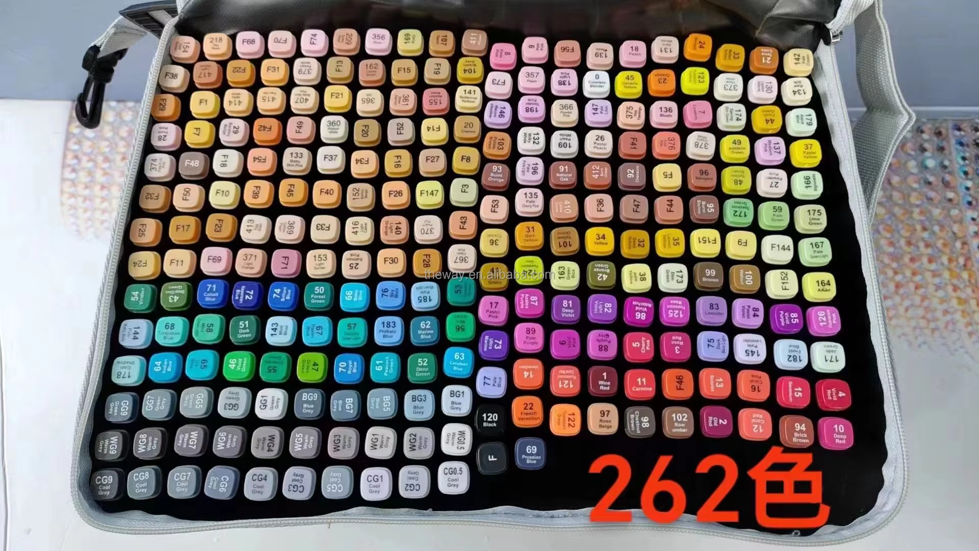 Marcadores De Alcohol De Colores Doble Punta Para Arte 262 U | Meses