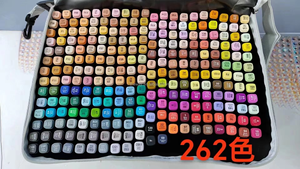 Set di 262 Pennarelli Alcolici per Disegno Artistico, per Bambini e Adulti, Pennarelli Permanenti a Doppia Punta con Custodia Organizzatrice - Product Image 3