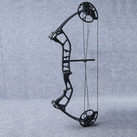1 PC Tir À L'arc 30-40lbs Tirage Réglable Poids Arc À Poulies De Chasse Professionnel Arc Arbalète Slingshoot Arc et Flèche