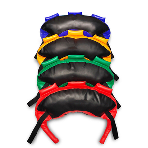 Bulgaria Túi sức mạnh đào tạo tập thể dục cát túi nhà phòng tập thể dục trọng lượng đào tạo đa chức năng tập luyện túi - Product Image 1