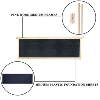 10PCS Imkerei ausrüstung mittlerer Langs troth Bienenstock rahmen mit Kunststoff fundament Unmontierte Bienen rahmen