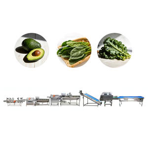สายการผลิตผักกาดหอมและผักโขมสำหรับโรงงาน - Product Image 1