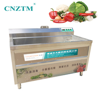 Petite machine à laver à l'ozone pour la cuisine domestique Machine à laver les légumes et les fruits Machine à stériliser les bulles pour les restaurants à usage commercial