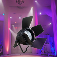 Vente en gros 200W blanc chaud PAR lumière LED boîtier en aluminium de couleur unique pour les événements de mariage et de fête