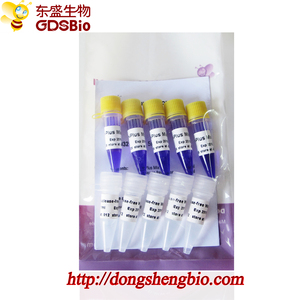 2x Plus mezcla <span class=keywords><strong>PCR</strong></span> maestro mezcla P2031-P2032 - Product Image 5