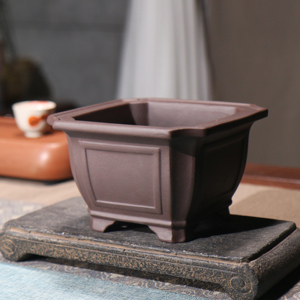 Pot à fleurs carré en argile violette Wang Fei, bord large, pour bonsaï de bureau, style chinois - Product Image 1