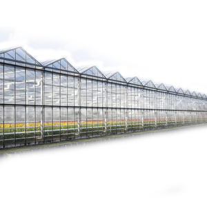 Fournitures d'usine Kit de culture hydroponique <span class=keywords><strong>jardin</strong></span> agricole écologique utilisé éponge hydroponique de plante de graine - Product Image 1