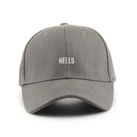 Gorra de béisbol Lisa para papá, gorras de béisbol personalizadas, bordadas, Lisa