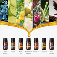 Shangri-La 10ml Désodorisant Aromathérapie Écologique Plusieurs Couleurs Parfums Maison Hôtel Utilisation Parfum Huile Reed Diffuseur