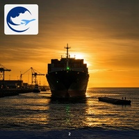 Agent d'expédition maritime de Pékin vers l'Allemagne DDP DDU