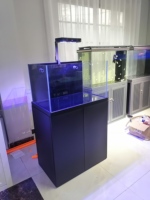 Aquarium rectangulaire moderne en verre ultra-clair de luxe pour poissons de récif, aquarium d'eau de mer pour salon