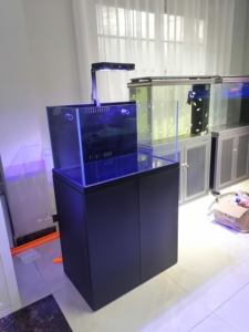 럭셔리 울트라 클리어 유리 현대 직사각형 암초 수족관 어항 거실 해수 해양 수족관 - Product Image 5