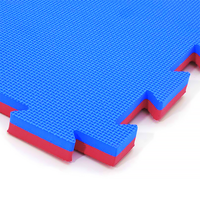 Tapis de yoga en mousse EVA haute densité essentiel pour la crèche, tapis de sol emboîtable en mousse, promotion, testé à domicile, Tatami Jiu Jitsu