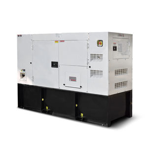 Дизельный генератор 30 кВА 25 кВт, бесшумный, с автоматическим переключением (ATS), 60/50 Гц, 3 фазы 220/127 В, 1 фаза 220/110 В, 240/120 В, водяное охлаждение - Product Image 5