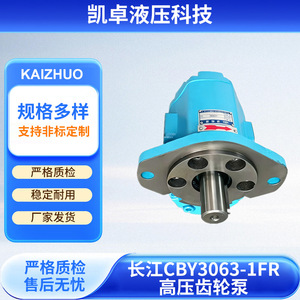 Pompe hydraulique à engrenages haute pression Changjiang CBY3063-1FR à montage sur bride pour machines de construction - Product Image 3
