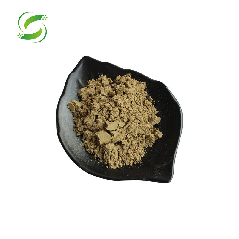 Bulk Galla Chinensis Fruit Extract 40% Ellagic Acid Powder