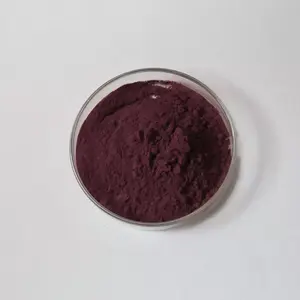 Whole Sale Chinese Black Wolfberry Black Goji Berry Powder