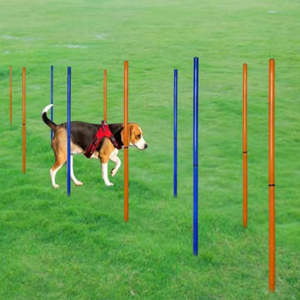 Equipo de agilidad para perros, poste tejido de plástico para Slalom, proveedor de entrenamiento de mascotas, equipo de entrenamiento para perros - Product Image 5