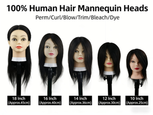 Vente directe d'usine, tête <span class=keywords><strong>de</strong></span> mannequin professionnelle pour coiffeuse avec cheveux raides pour la pratique <span class=keywords><strong>de</strong></span> la coupe <span class=keywords><strong>de</strong></span> cheveux - Product Image 6