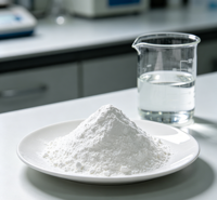 HPMC (Hydroxypropylméthylcellulose) de qualité industrielle, épaississant blanc, pureté 99 %, pour adhésif carrelage, mastic mural, ciment