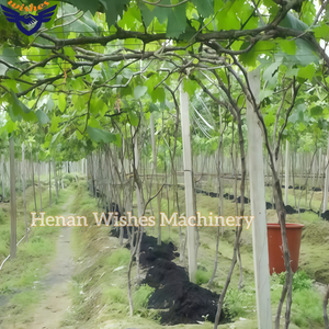 Máquina para Hacer Postes de Viñedo de 80*100 mm, Máquina para Hacer Postes de Viñedo Prefabricados, Máquina para Formar Postes de Uva de Hormigón para Australia y Nueva Zelanda - Product Image 5