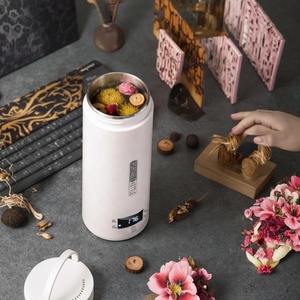 Electric 450ml Portable Mini Stainless Steel Tea Coffee <strong>Hot</strong> Water <strong>Cup</strong> <strong>Kettle</strong> - Product Image 5