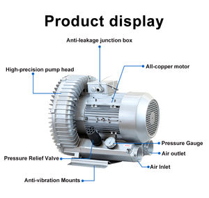 Soplador Vortex Golden Bridge de 4kw Trifásico 50/60Hz JQT4000, 318m3/h, 360mbar, Soplador Regenerativo para Aireación en Acuicultura - Product Image 6