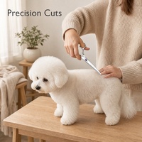Ciseaux de toilettage professionnels courbés pour chiens, pour gauchers, pour couper les poils, boîte argentée