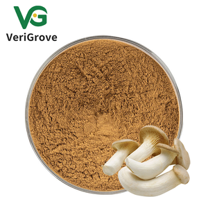 Экстракт грибов 20% полисахаридов - Product Image 2