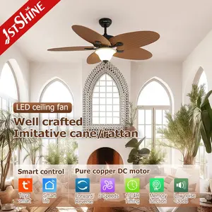 1stshine Ceiling Fan Light 5 ABS Fancy Design Blades Classic Decorative LED Lighting Ceiling Fan With Light