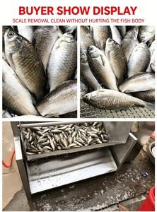 Máquina para Quitar Escamas de Pescado Pequeño, Desescamador Comercial Totalmente Automático para Sardinas y Carpas <span class=keywords><strong>Crucianas</strong></span> - Product Image 5