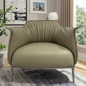 Sillón moderno de Tigre, asientos individuales, cuero genuino, sala de estar, dormitorio, balcón, ocio, café, muebles de Villa, sillón Loft - Product Image 1