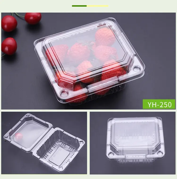 Wholesale Disposable clear plastic food storage box plastic packaging for fruit vegetable