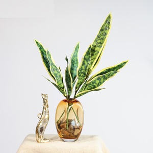 Planta Artificial <span class=keywords><strong>Sansevieria</strong></span> MSH con Hojas con Bordes Amarillos, Decoración de Oficina - Product Image 3