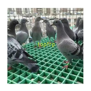 GRP FRP Pultrusion Grating Fiberglass Walkway Micro Mesh Grating Pigeon <b>Loft</b> Floor - Product Image 1