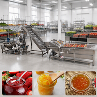 Petite ligne de production de ketchup, machine de cuisson de sauce tomate, machine automatique de remplissage et d'emballage de sachets pour usine alimentaire